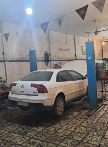 carnogarae_zantia (1)