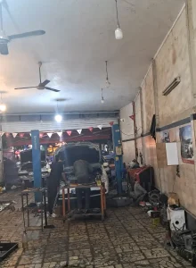 carnogarae_zantia (2)